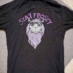 Fall Out Boy Limited Edition Stay Frosty T-shirt